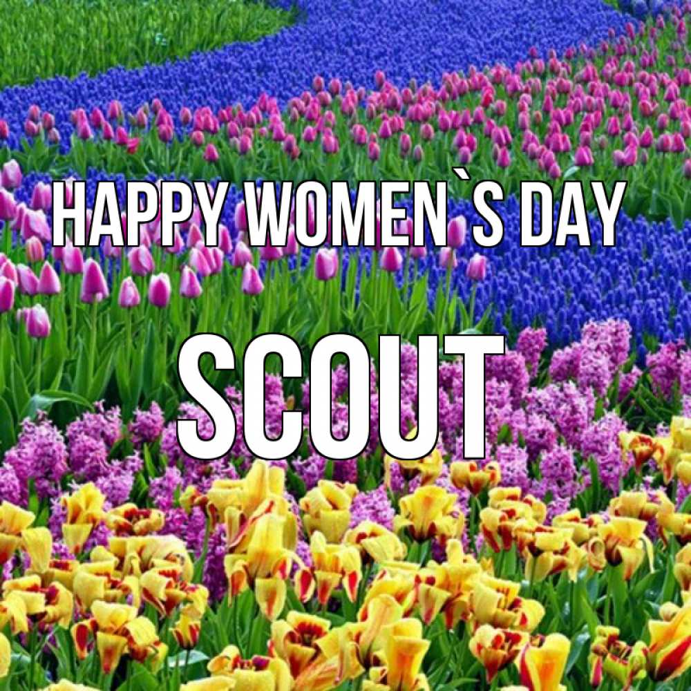 Greetings card с именем, Scout happy women`s day цветы Greetings with text for free download 